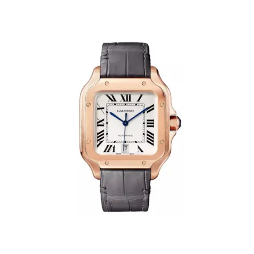 Cartier Santos de Cartier Large Automatic Ref WGSA0018